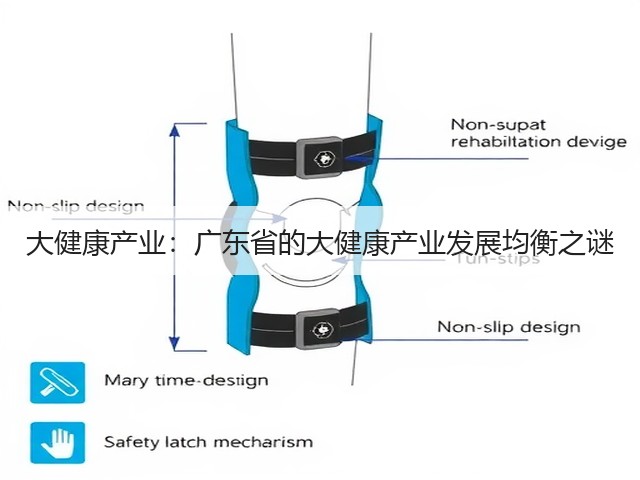 大健康产业：广东省的大健康产业发展均衡之谜(图1)