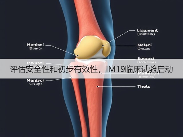 评估安全性和初步有效性，IM19临床试验启动(图2)