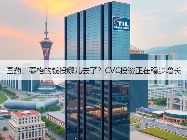 国药、泰格的钱投哪儿去了？CVC投资正在稳步增长(图3)