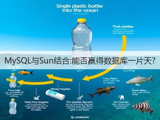 MySQL与Sun结合:能否赢得数据库一片天?(图3)