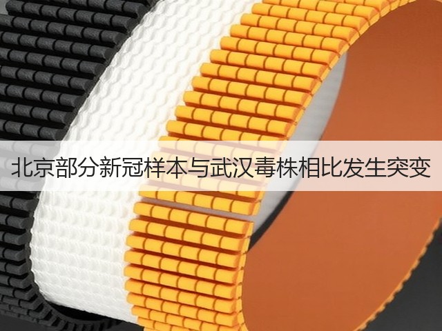 北京部分新冠样本与武汉毒株相比发生突变(图3)