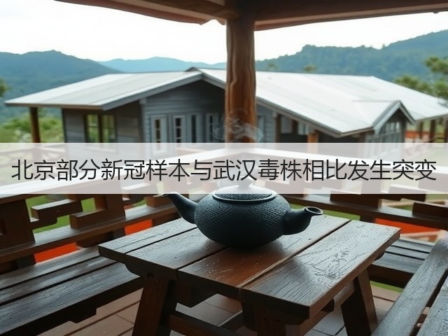 北京部分新冠样本与武汉毒株相比发生突变(图2)