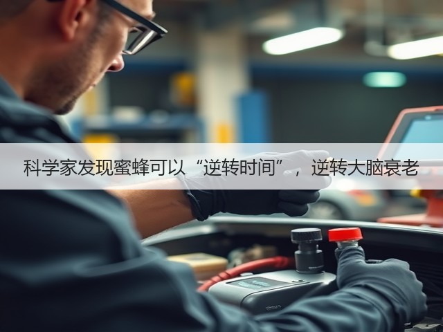 科学家发现蜜蜂可以“逆转时间”，逆转大脑衰老(图2)