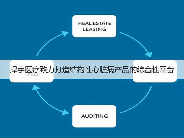 捍宇医疗致力打造结构性心脏病产品的综合性平台(图2)