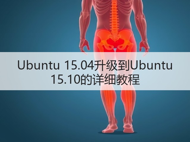 Ubuntu 15.04升级到Ubuntu 15.10的详细教程(图3)