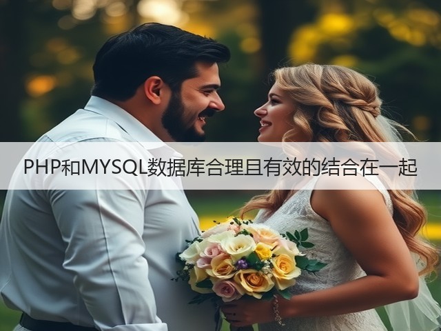 PHP和MYSQL数据库合理且有效的结合在一起(图1)