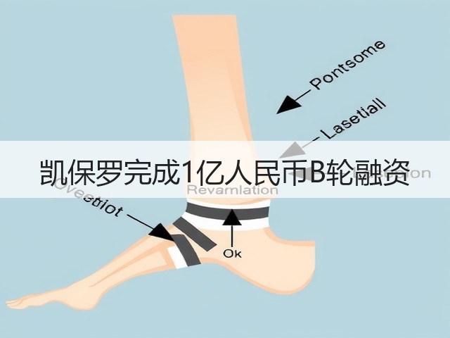 凯保罗完成1亿人民币B轮融资(图1)