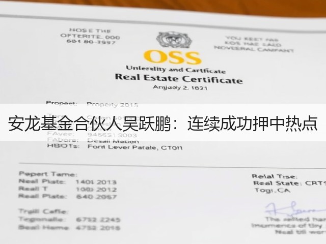 安龙基金合伙人吴跃鹏：连续成功押中热点(图1)