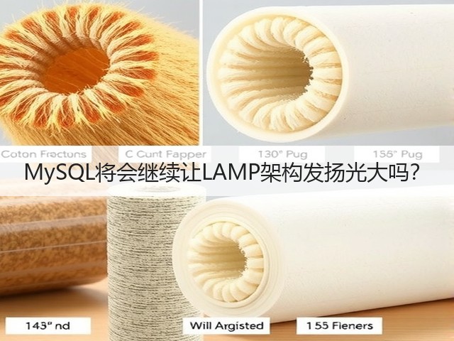 MySQL将会继续让LAMP架构发扬光大吗？(图1)