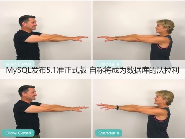 MySQL发布5.1准正式版 自称将成为数据库的法拉利(图1)