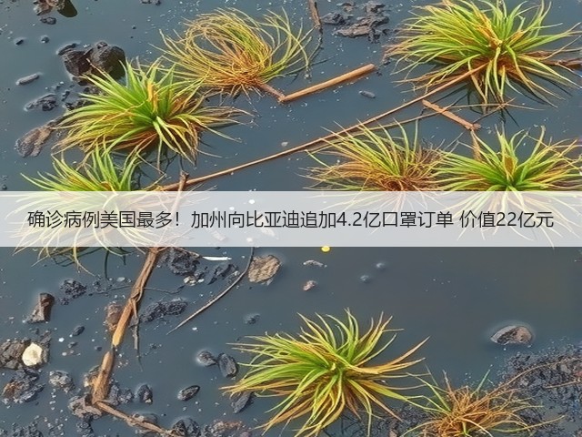 确诊病例美国最多！加州向比亚迪追加4.2亿口罩订单 价值22亿元(图3)
