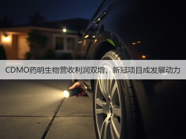 CDMO药明生物营收利润双增，新冠项目成发展动力(图3)