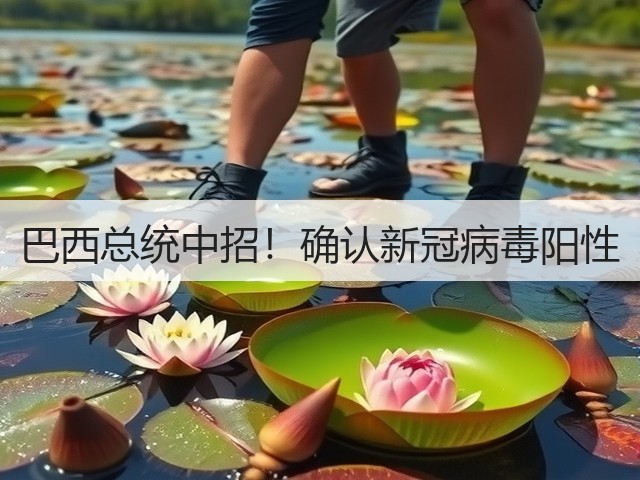 巴西总统中招！确认新冠病毒阳性(图2)
