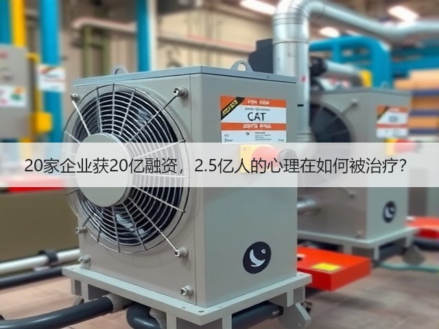 20家企业获20亿融资，2.5亿人的心理在如何被治疗？(图3)