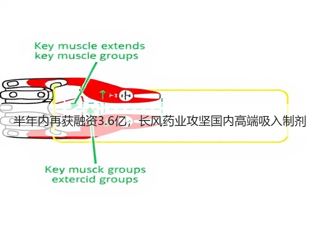 半年内再获融资3.6亿，长风药业攻坚国内高端吸入制剂(图1)