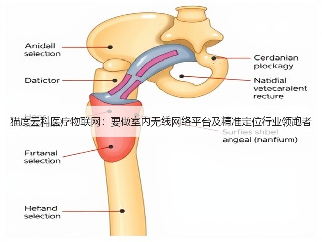 猫度云科医疗物联网：要做室内无线网络平台及精准定位行业领跑者(图3)