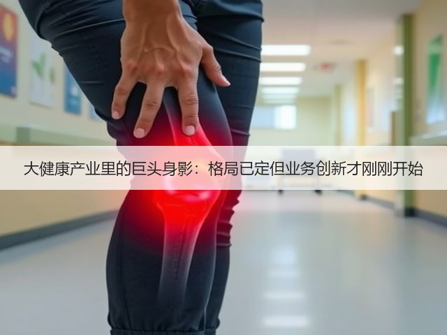 大健康产业里的巨头身影：格局已定但业务创新才刚刚开始(图2)