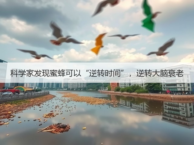 科学家发现蜜蜂可以“逆转时间”，逆转大脑衰老(图3)