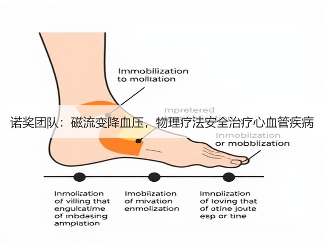 诺奖团队：磁流变降血压，物理疗法安全治疗心血管疾病(图2)