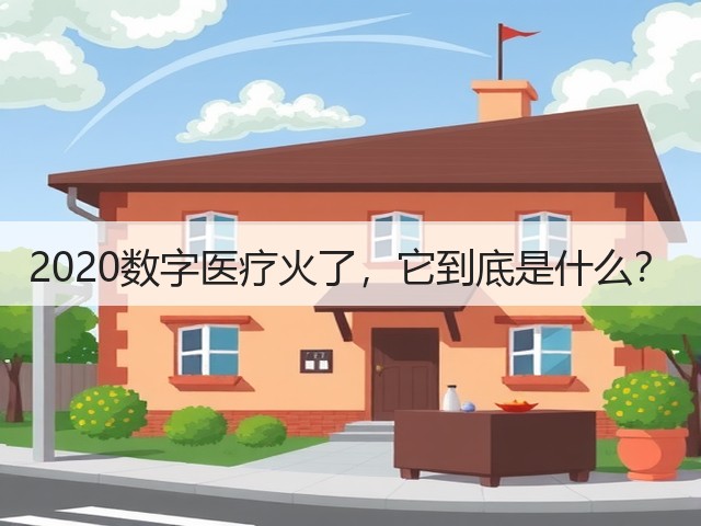 2020数字医疗火了，它到底是什么？(图2)