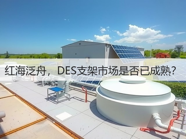 红海泛舟，DES支架市场是否已成熟？(图1)