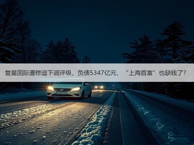 复星国际遭穆迪下调评级，负债5347亿元，“上海首富”也缺钱了？(图3)