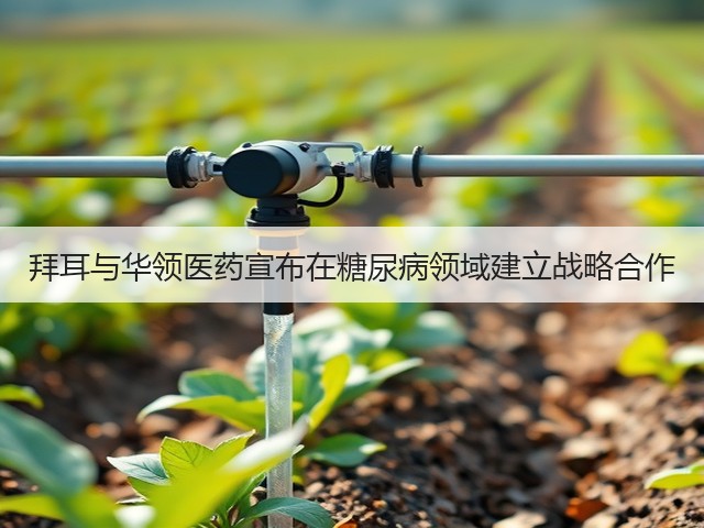 拜耳与华领医药宣布在糖尿病领域建立战略合作(图3)