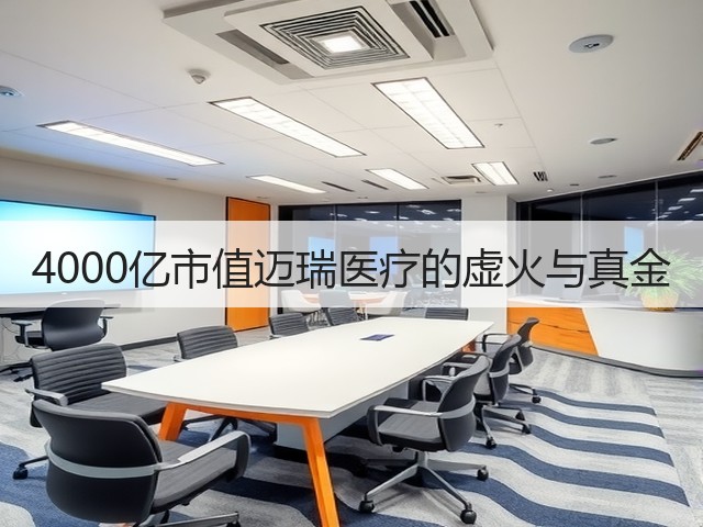 4000亿市值迈瑞医疗的虚火与真金(图2)