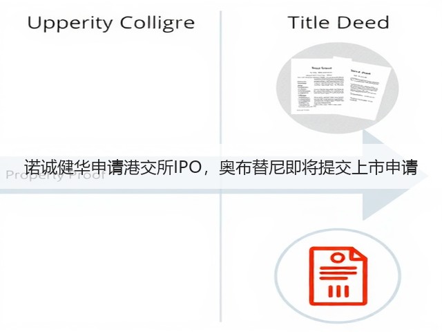 诺诚健华申请港交所IPO,奥布替尼即将提交上市申请(图2) 诺诚健华申请港交所IPO,奥布替尼即将提交上市申请(图2)