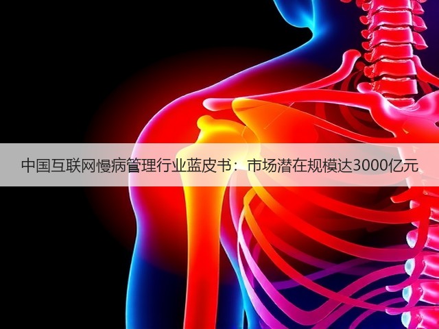 中国互联网慢病管理行业蓝皮书:市场潜在规模达3000亿元(图2) 中国互联网慢病管理行业蓝皮书:市场潜在规模达3000亿元(图2)