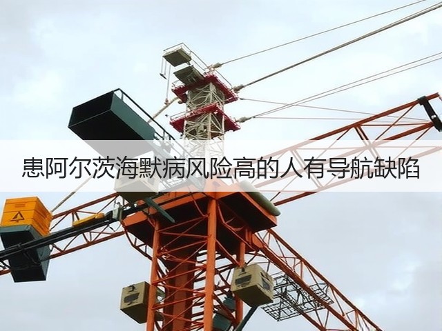 患阿尔茨海默病风险高的人有导航缺陷(图2) 患阿尔茨海默病风险高的人有导航缺陷(图2)