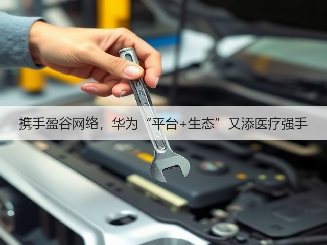携手盈谷网络,华为“平台+生态”又添医疗强手(图2) 携手盈谷网络,华为“平台+生态”又添医疗强手(图2)