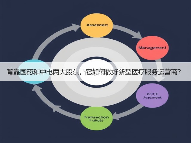背靠国药和中电两大股东,它如何做好新型医疗服务运营商?(图2) 背靠国药和中电两大股东,它如何做好新型医疗服务运营商?(图2)