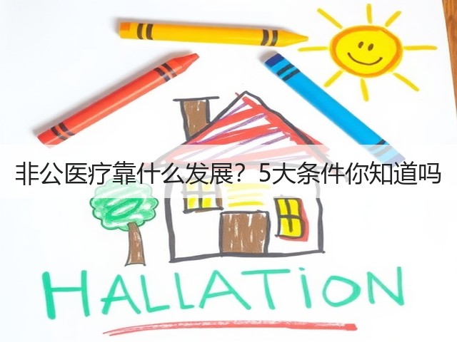 非公医疗靠什么发展?5大条件你知道吗(图1) 非公医疗靠什么发展?5大条件你知道吗(图1)