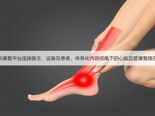 遇健未来康复平台连接医生、设备及患者,体系化内容视角下的心脑血管康复路在何方?(图3) 遇健未来康复平台连接医生、设备及患者,体系化内容视角下的心脑血管康复路在何方?(图3)