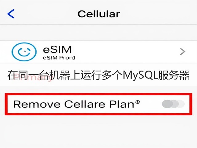 在同一台机器上运行多个MySQL服务器(图2) 在同一台机器上运行多个MySQL服务器(图2)