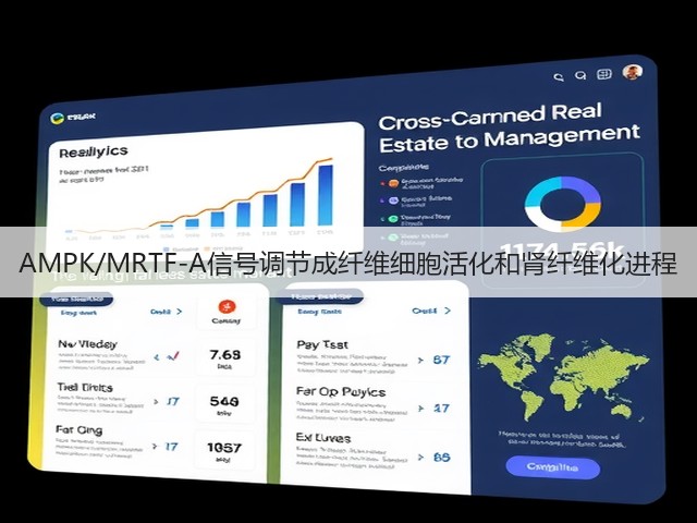 AMPK/MRTF-A信号调节成纤维细胞活化和肾纤维化进程(图2) AMPK/MRTF-A信号调节成纤维细胞活化和肾纤维化进程(图2)