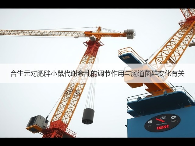 合生元对肥胖小鼠代谢紊乱的调节作用与肠道菌群变化有关(图3) 合生元对肥胖小鼠代谢紊乱的调节作用与肠道菌群变化有关(图3)