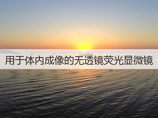 用于体内成像的无透镜荧光显微镜(图1) 用于体内成像的无透镜荧光显微镜(图1)