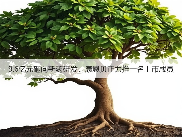9.6亿元砸向新药研发,康恩贝正力推一名上市成员(图1) 9.6亿元砸向新药研发,康恩贝正力推一名上市成员(图1)