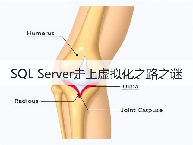 SQL Server走上虚拟化之路之谜(图3) SQL Server走上虚拟化之路之谜(图3)