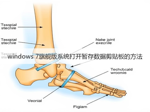 windows 7旗舰版系统打开暂存数据剪贴板的方法(图2) windows 7旗舰版系统打开暂存数据剪贴板的方法(图2)
