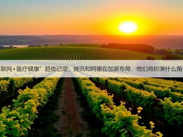 “互联网+医疗健康”趋势已定,腾讯和阿里在加紧布局,他们将扮演什么角色?(图3) “互联网+医疗健康”趋势已定,腾讯和阿里在加紧布局,他们将扮演什么角色?(图3)