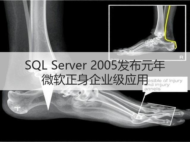 SQL Server 2005发布元年 微软正身企业级应用(图1) SQL Server 2005发布元年 微软正身企业级应用(图1)