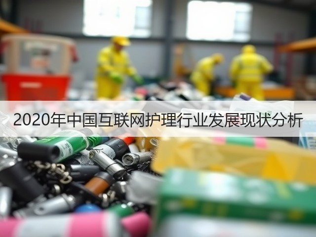 2020年中国互联网护理行业发展现状分析(图3) 2020年中国互联网护理行业发展现状分析(图3)