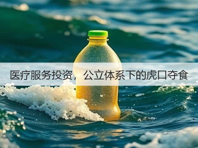 医疗服务投资,公立体系下的虎口夺食(图3) 医疗服务投资,公立体系下的虎口夺食(图3)