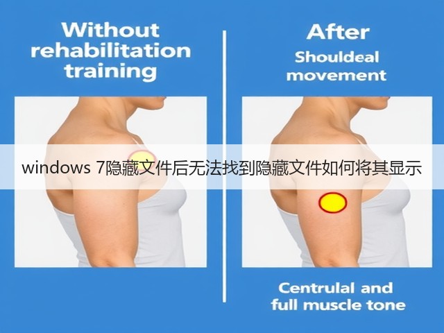 windows 7隐藏文件后无法找到隐藏文件如何将其显示(图3)