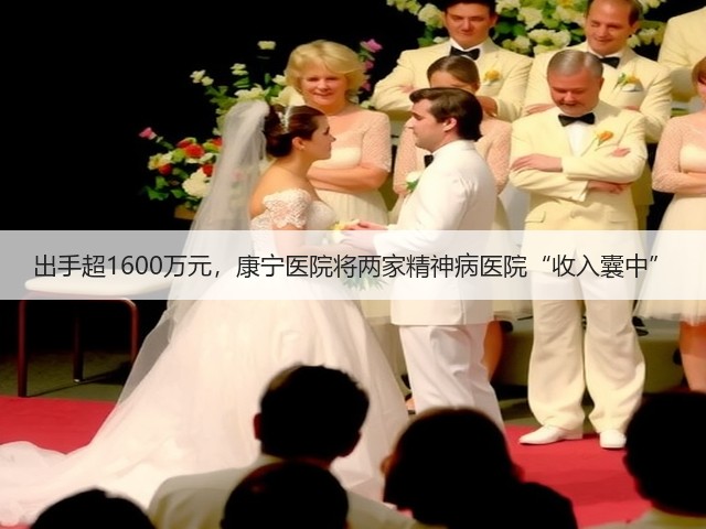 出手超1600万元,康宁医院将两家精神病医院“收入囊中”(图3) 出手超1600万元,康宁医院将两家精神病医院“收入囊中”(图3)