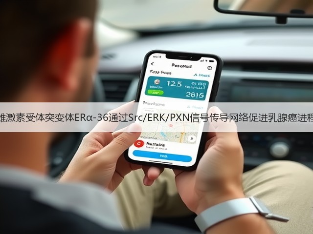 雌激素受体突变体ERα-36通过Src/ERK/PXN信号传导网络促进乳腺癌进程(图2)