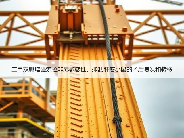 二甲双胍增强索拉非尼敏感性,抑制肝癌小鼠的术后复发和转移(图3) 二甲双胍增强索拉非尼敏感性,抑制肝癌小鼠的术后复发和转移(图3)
